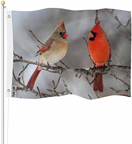 Yekiua Northern Cardinal Pair Flag 3X5 Outdoor Birds In Winter Snowy Tree Wildlife Animal Seasonal Double Sided Flags All Weather Long Lasting With 2 Brass Grommets by Yekiua