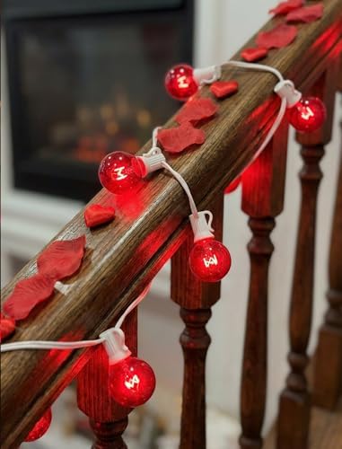 G40 Valentine’s Day Red Globe String Lights, 25Ft Outdoor Valentines Day Decorations Lights with 27 Incandescent Red Bulbs, Hanging Christmas Lights Waterproof for Patio Wedding Party Garden Balcony - Image 4