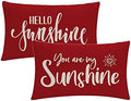 7COLORROOM 2Pack Farmhouse Decor Pillow Covers Hello Sunshine/You are My Sunshine Rectangular/Waist Cushion Covers Spring Summer Red Home Decorations Lumber Pillowcases 12" X 20" (Red) by 7COLORROOM
