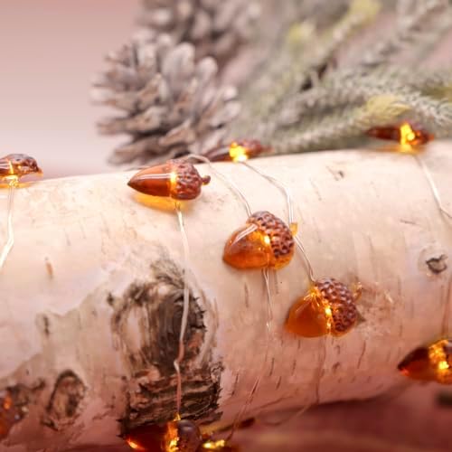 MIYA LIFE Fall String Lights (Acorn Fairy) - Image 7