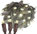 Novelty Lights 34ft 100 LED Warm White Christmas String Lights, Brown Wire by NoveltyLights-LightExperts