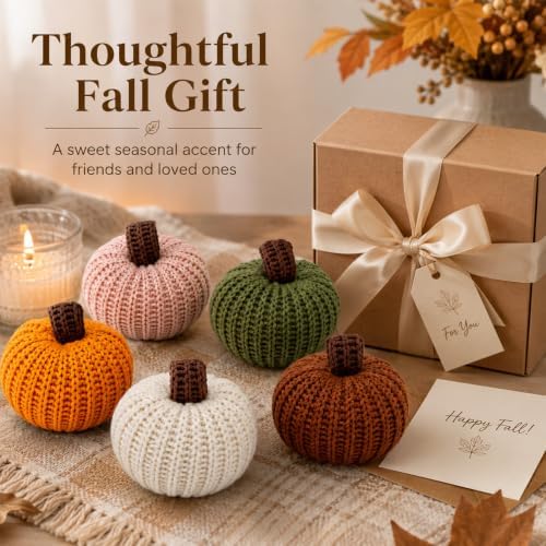 RAINFLOW Mini Knitted Pumpkin Cozy Set of 5 Knit Pumpkins for Fall Decor - Image 6