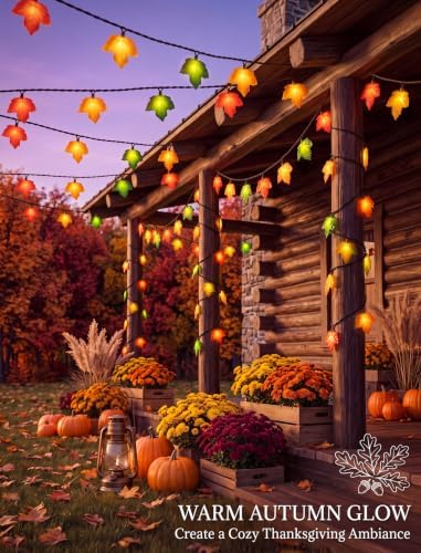 Fall Decor Maple Leaf Fall String Lights, 8.5ft Thanksgiving String Lights with 10 3D Multicolor Maple Leaf Lights, Fall Lights Plug in for Thanksgiving Autumn Fall Party Indoor Bedroom Harvest Decor - Image 7