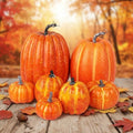 Geelin 7 Pcs Assorted Artificial Orange Pumpkins Harvest Decorative Faux Foam Pumpkins for Farmhouse Rustic Fall Thanksgiving Tabletop Centerpiece Mantel Shelf Kitchen Decoration by Geelin