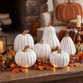 Thyle 6 Pcs Pumpkin Fall Decor, White Gold Pumpkin for Thanksgiving Decor by Thyle