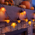SUNSGNE 12FT Acorn Maple Leaf String Lights, Thanksgiving Fall Decor by SUNSGNE