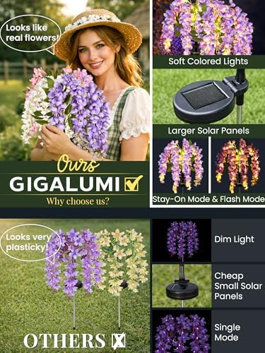 GIGALUMI 3 Pack Solar Wisteria Flowers Outdoor, 2 Modes, Multicolored - Image 2