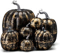 Lucakuins 7Pcs Artificial Pumpkins Fall Decoration Assorted Faux Pumpkin Cute Foam Pumpkins for Home Outside Halloween Decorating (Black2, One Size) by Lucakuins