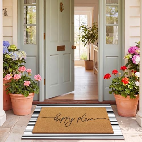 Drydiet 2 Pcs Coir Welcome Mat for Front Door, Black White Striped 24x35 - Image 5