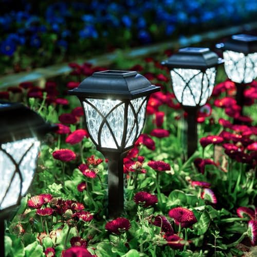 GIGALUMI 6 Pack Solar Lights Outdoor Waterproof, LED Solar Garden Lights by GIGALUMI