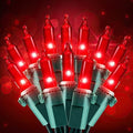 Hopolon Red Christmas Mini Lights, 2 Pack 50 Count 13FT Green Wire by Hopolon