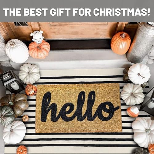 IOHOUZE 2.3x3.6 Striped Outdoor Door Mat, Washable Porch Rug, Black Beige - Image 2