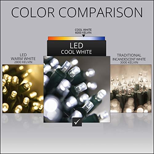 Wintergreen SoftTwinkle Pulsing Net Lights, Outdoor Twinkling Christmas Lights, Green Wire (70 Lights, 4' x 6' Net, Cool White) - Image 5