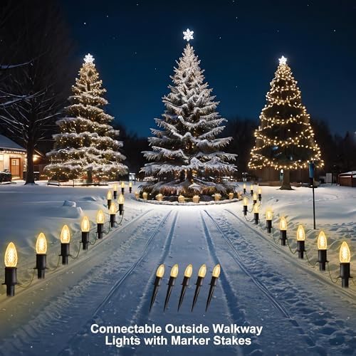 C9 Christmas Pathway Lights Outdoor - 29FT 25 LED Strawberry String Lights with Marker Stakes, Connectable Shatterproof Walkway Lights for Xmas Garden Outside Yard Holiday Decorations, Warm White - Image 3