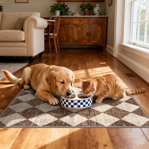 Front Door Rug - 2x3 Brown Beige Checkered Diamond Entry Rug - Image 5