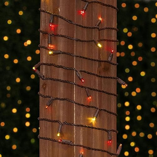 Novelty Lights 17ft 50 LED Yellow/Red/Orange Christmas String Lights, 4" Spacing on Brown Wire, UL Listed IP55 Commercial Grade Xmas Lights for Outdoor/Indoor, Dimmable, Connectable - Image 3