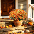 8 Bundles Artificial Daisy Flowers for Outdoors, UV Resistant Faux Daisy Mums for Outdoor Planters, Front Porch, Patio, Yard, Garden, Window Box Spring Summer Fall Decor, Orange by BCBLF