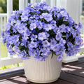 INXUGAO Artificial Flowers for Outdoors Planter UV Resistant Faux Hydrangea by INXUGAOArtificialFlowers