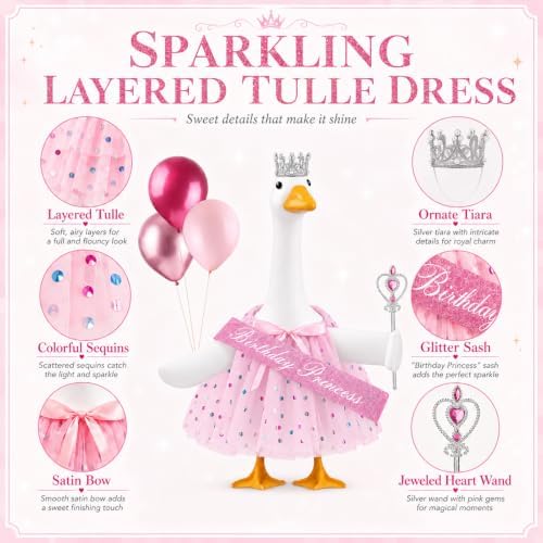 5 Pcs Birthday Princess Porch Goose Outfit with Balloon for Outdoor Decor - Image 3