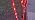COOLWUFAN 36" Candy Cane Christmas Decorations, 24 Pack Giant Candy Cane Lights, Outdoor Pathway Markers Lights for Xmas Holiday Walkway Patio Garden Yard Lawn - Image 7