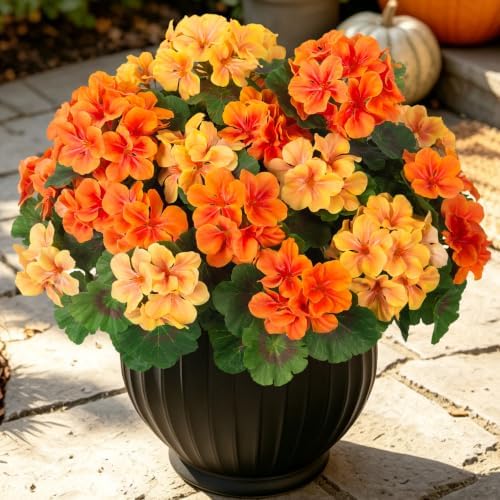 Ammyoo Fall Geranium Flowers Artificial for Decoration Outdoor Faux Plants by Ammyoo