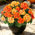 Ammyoo Fall Geranium Flowers Artificial for Decoration Outdoor Faux Plants by Ammyoo