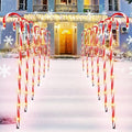 Treela 12 Pcs 36 Inch Christmas Candy Cane Lights Outdoor Decorations by Treela