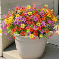 Artificial Flowers for Outdoors Spring Summer Decoration, 12 Bundles Fake Plants UV Resistant Realistic Faux Flower Silk Daisy with Eucalyptus Stem for Patio Planter Porch Yard Window Box Balcony by HomeD%C3%A9cor