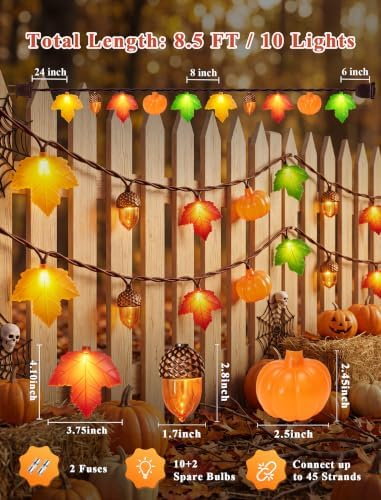 Fall Decor String Lights, 8.5FT 10 LED Thanksgiving Lights Outdoor Plug in - Image 2