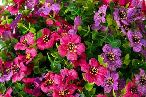 HyeFlora 2 Set Artificial Outdoor Flowers Hanging Basket, Faux Hanging Plants for Outside Spring Decoration, Fake Silk UV Resistant Look Real Daisy for Porch Patio Home Decor - Image 7