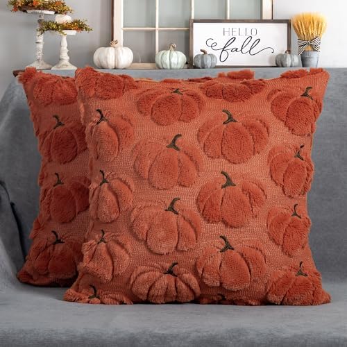 Fall Pillow Covers 20x20 Set of 2 Rust Red Pumpkin Decorations for Home by 4THEmotion