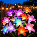 LETMY Solar Garden Lights, 4 Pack Solar Flower Lights with 6 Head Bigger Lily Lights, IP65 Waterproof Solar Lights Outdoor, Decorative Lights for Garden, Patio, Yard, Flower Bed by Letmy