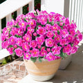 HyeFlora Artificial Faux Outdoor Flowers Plants for Spring Summer Decoration, Fake Silk Fuchsia Camellia UV Resistant Look Real for Planter Outside Front Door Porch Patio Balcony, 3 Large Bundles by HyeFloraartificialflowers