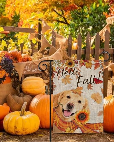 Hello Fall Golden Retriever Dog Garden Flag 12x18 Inch Double Sided for Outside Autumn Seasonal Holiday Yard Outdoor Decoration Flag - Image 4