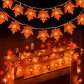 Brightown 2 Pack Fall Garland with Lights Total 20Ft 40LED Fall Decor by Brightown