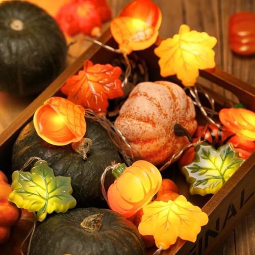 LOLStar Fall Decor, Fall String Lights, 9.8FT 20LED Thanksgiving Lights - Image 2