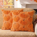 Fall Pillow Covers Pumpkin Fall Decor 16x16 Set of 2 Orange by Unknown