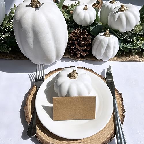 Winlyn 10 Pcs Assorted White Artificial Pumpkins Harvest White Pumpkins Decorative Pumpkins Foam Rustic Fall Pumpkins for Autumn Fall Wedding Thanksgiving Halloween Props Home Seasonal Mantel Décor - Image 3