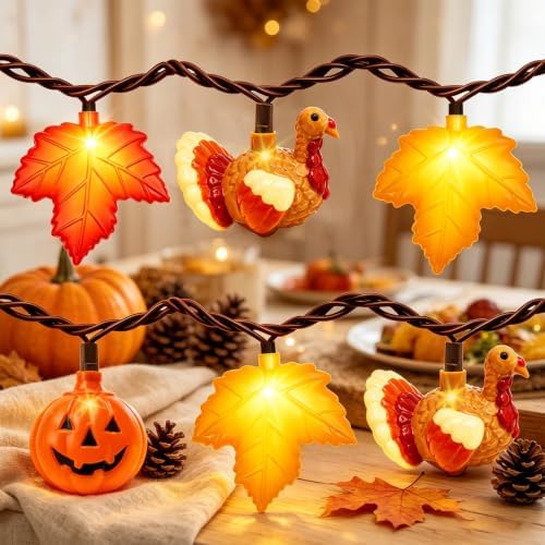 Fall Decor, Fall Turkey Lights, 8.5 FT 10LED Thanksgiving Lights, Outdoor by Aiyomt