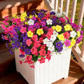 INQCMY Artificial Fake Petunias Flowers for Outdoors Spring Home Decoration by INQCMYPlantRack