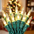 Hopolon 13FT 50 Warm White Christmas Incandescent Mini String Lights 2 Pack by Hopolon