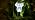 16Pack Solar Garden Lights Outdoor Cool White Mushroom Decor - Image 7