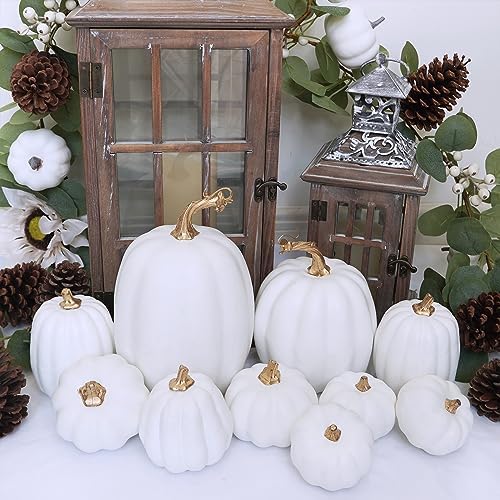 Winlyn 10 Pcs Assorted White Artificial Pumpkins Harvest White Pumpkins Decorative Pumpkins Foam Rustic Fall Pumpkins for Autumn Fall Wedding Thanksgiving Halloween Props Home Seasonal Mantel Décor - Image 7