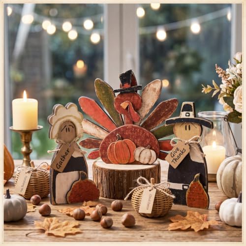 Cinnvoice 3 Pcs Fall Decorations Thanksgiving Pilgrim Turkey Tabletop Signs - Image 6
