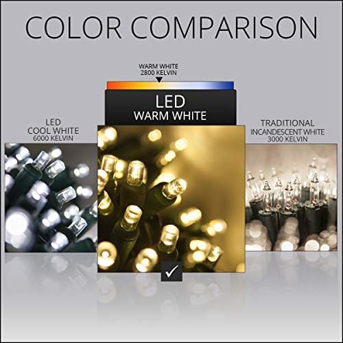 Wintergreen Lighting Set of 100 Warm White LED Net Lights - Christmas Outdoor Decorations, Green Wire (4 x 6 ft, 5mm Lights) - Image 6