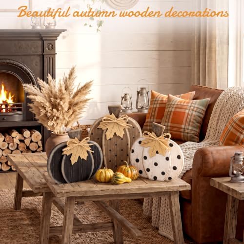 Cinnvoice 3 Pcs Fall Pumpkin Decor, Black White Pumpkin Tabletop Signs - Image 5