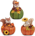DoubleFill 3 Pcs Fall Squirrels Pumpkins Figurines Wooden Table Decor by DoubleFill