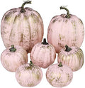 Winlyn 7 Pcs Assorted Artificial Gold Brushed Pink Pumpkins Rustic Decorative Foam Pumpkins for Fall Halloween Harvest Wedding Baby Shower Tabletop Centerpiece Mantel Kitchen Decoration by Winlyn