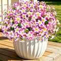 Artificial Faux Petunias Flowers for Outdoors, 12 Bundles UV Resistant Fake Petunias Plants Realistic Silk Flower for Porch Planters Garden Porch Balcony Porch Yard Window Box by MyCoats