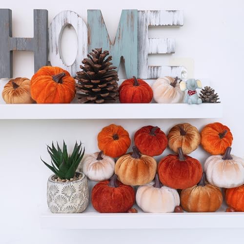 Winlyn Set of 16 Assorted Farmhouse Fall Artificial Velvet Pumpkins Rust Orange Champagne Gold Decorative Fabric Foam Pumpkins for Autumn Home Wedding Thanksgiving Halloween Harvest Table Centerpiece - Image 6